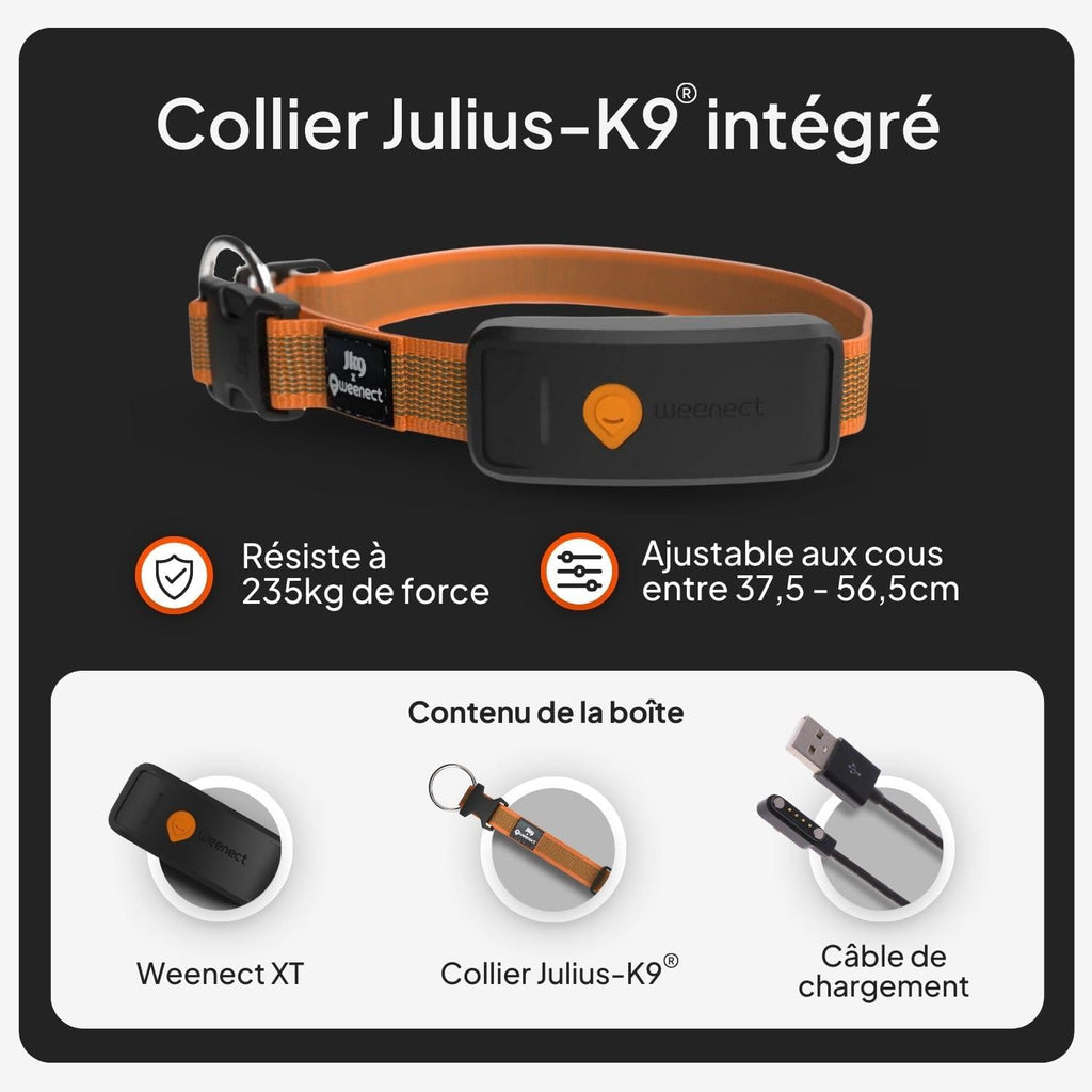 Weenect XT-hond - NIEUWE GPS-halsband voor honden | XL-antenne | waterdicht | geïntegreerde zeer sterke halsband Julius-K9 | werkt met abonnement | levenslange garantie