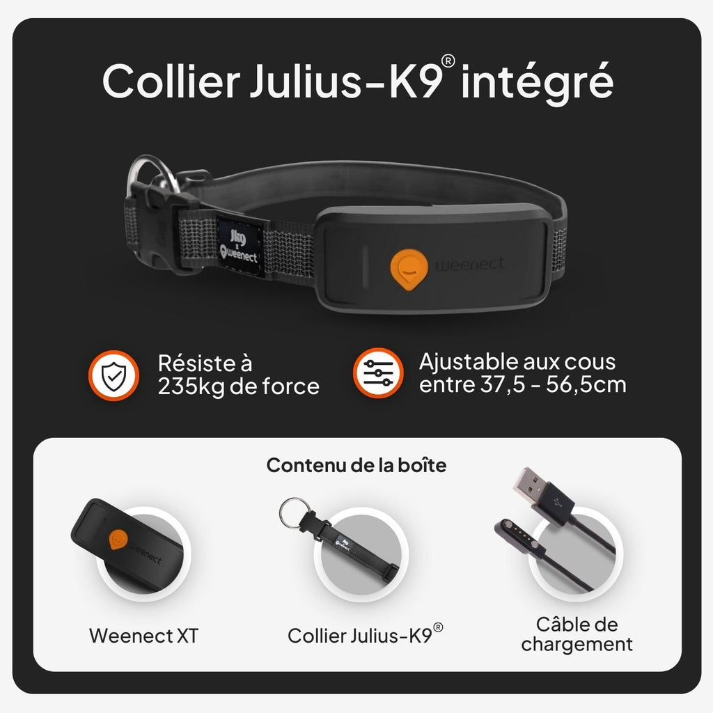 Weenect XT-hond - NIEUWE GPS-halsband voor honden | XL-antenne | waterdicht | geïntegreerde zeer sterke halsband Julius-K9 | werkt met abonnement | levenslange garantie
