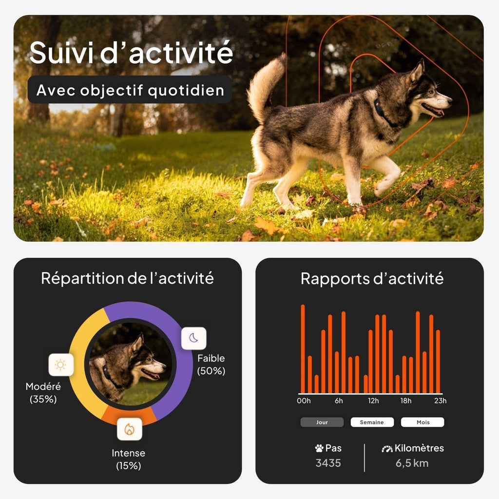 Weenect XT-hond - NIEUWE GPS-halsband voor honden | XL-antenne | waterdicht | geïntegreerde zeer sterke halsband Julius-K9 | werkt met abonnement | levenslange garantie